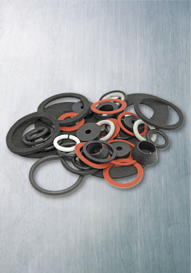 Guarnizioni e fasteners
